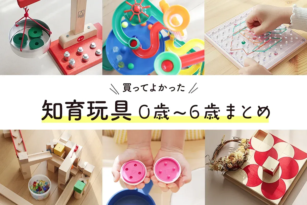 なぜ「知育玩具 安い 探し方 コツ」が気になるのか？