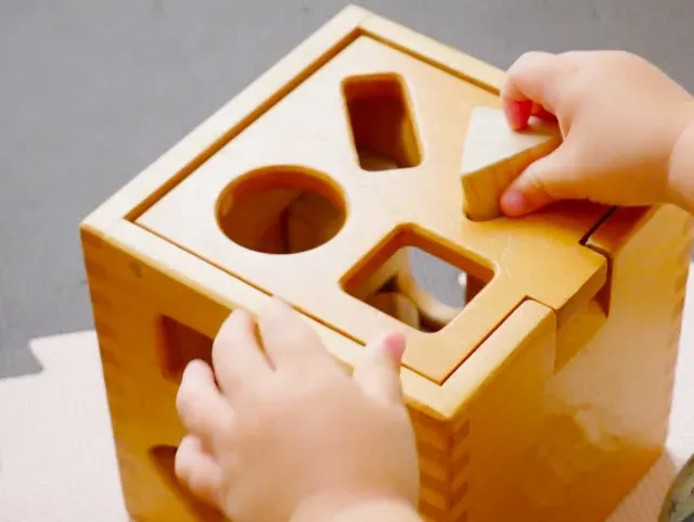 知育玩具パズルに期待できる効果とは？ なぜ子供に良いの？